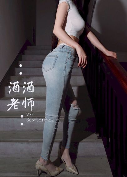 海豚爱上猫