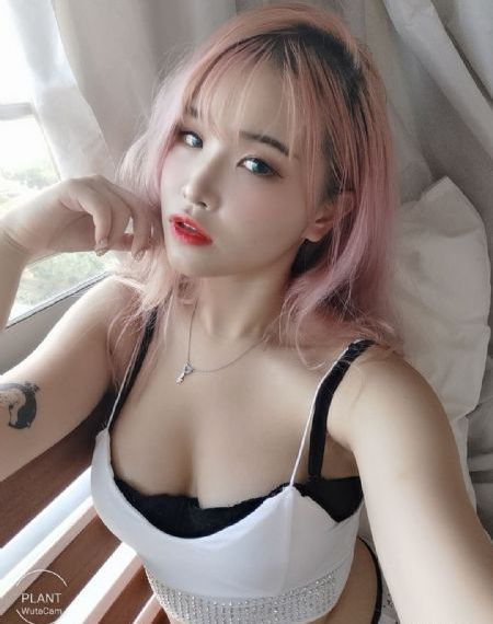 静静的栈桥