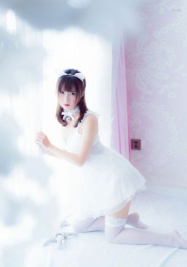 小虎斑斑