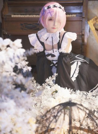 新女婿时代