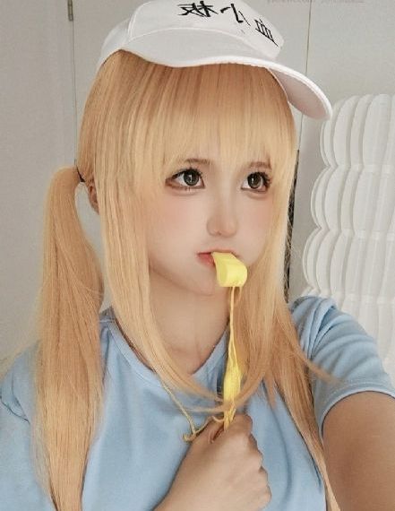 菊花茶