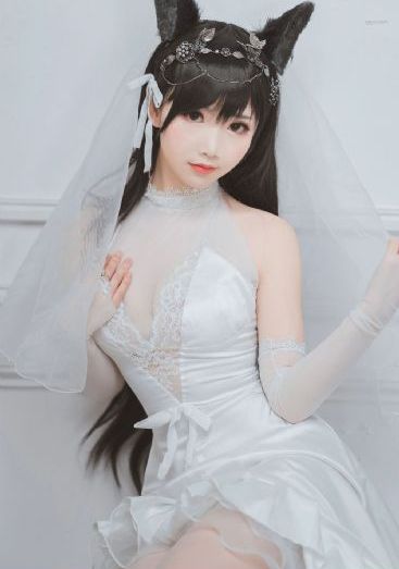 寻龙夺宝