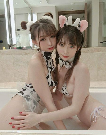 包青天之真假包公