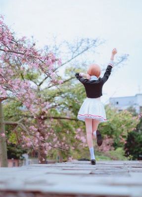蜻蜓