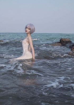 维也纳的华尔兹