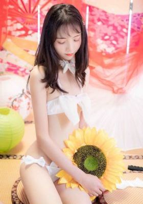 我们是贵族